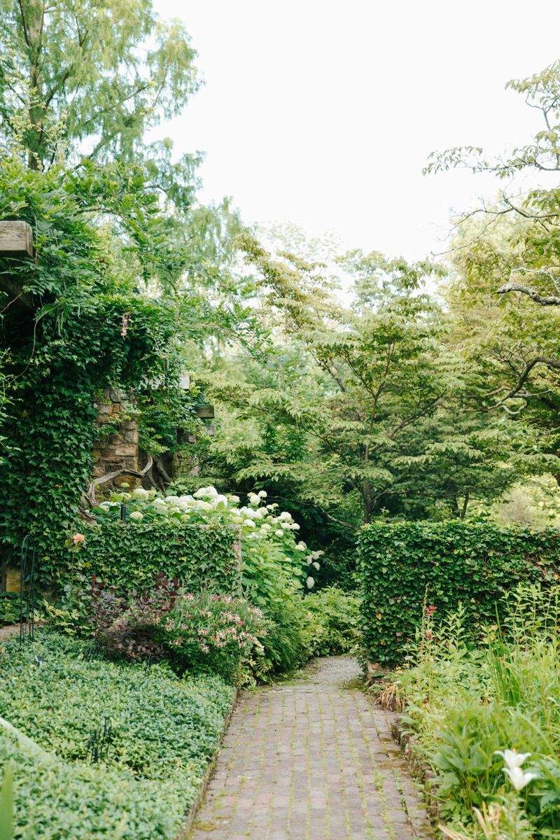 春の植栽計画で庭を心地よく整えるポイント